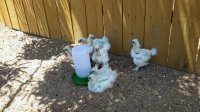 20170603_134113.jpg