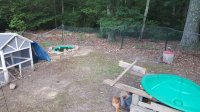 20170604_201310.jpg