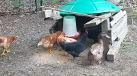 20170604_200909.jpg