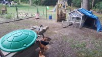 20170604_200938.jpg