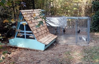 My 'Chick Chalet' in the Carolina Hills