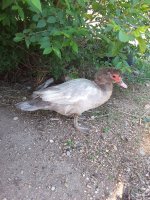 20170602_084952.jpg