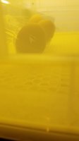 1496647121690642988012.jpg