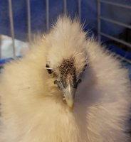 20170525_173635.jpg