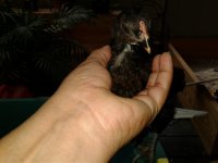 20170601_081844.jpg