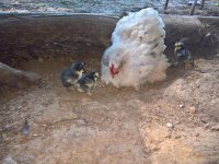 WP_20170602_16_30_07_Pro_LI.jpg