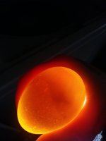 20170606_194403.jpg