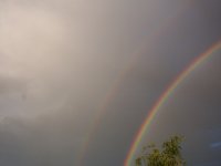 100_3448.JPG