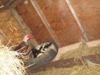 IMG_1614.JPG