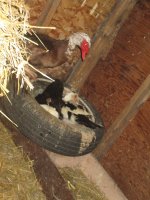 IMG_1616.JPG