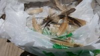 20170607_135054.jpg