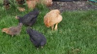 20170603_192448.jpg