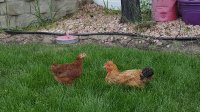 20170603_192215.jpg