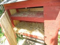 IMG_1629.JPG