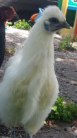 20170610_141507.jpg