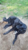 20170610_172618.jpg