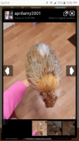 Screenshot_20170610-150629.png