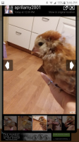 Screenshot_20170610-150642.png