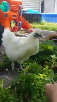 20170610_141523.jpg