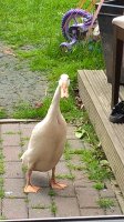 WP_20170611_11_25_32_Pro.jpg
