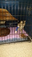 20170609_180709.jpg