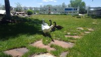 20170603_135535.jpg