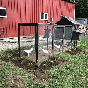 Chicken Coop NW Coop Kit