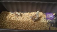 20170610_105415.jpg