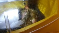 20170613_135729.jpg