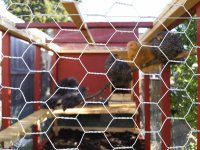 20170508_080039.jpg