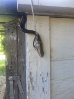 20160503_165050.jpg