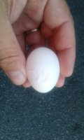 20170614_182341.jpg