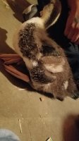 20170614_234305.jpg