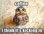 coffee3.jpg