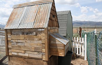 Rustic Coop