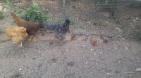 20170615_150738.jpg 20170615_150738.jpg