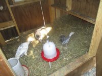 IMG_1724.JPG
