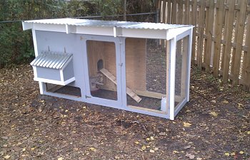 4x8 Custom Coop