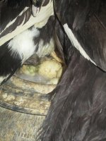 IMG_1734.JPG