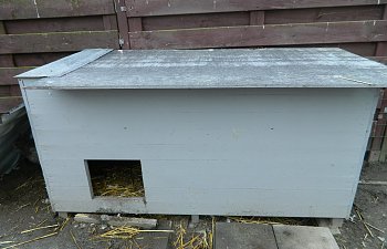 home made coop