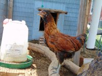 DSC00445.JPG