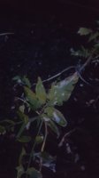 20170615_204501.jpg