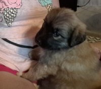 20170616_212015.jpg