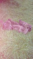 20170617_212630.jpg