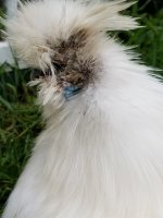 20170617_162514.jpg