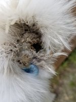 20170617_162535.jpg