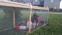 20170526_204143.jpg