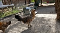 20170610_155540.jpg