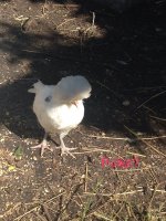 IMG_2743.JPG