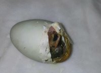 20170619_124524.jpg